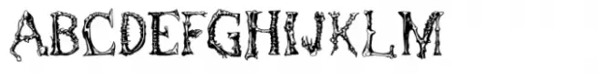 Gnarly Spine Regular