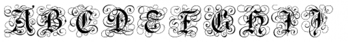 Gothic Flourish