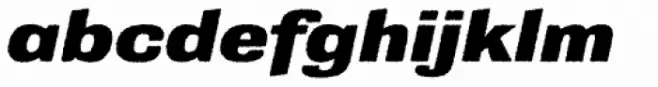 Grange Rough Heavy Extended Italic