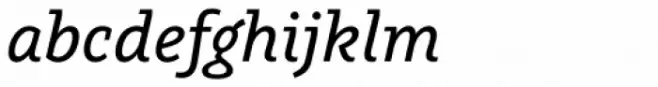 Graublau Slab Book Italic