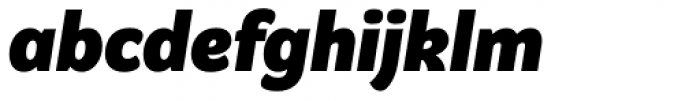 Graviola Black Italic