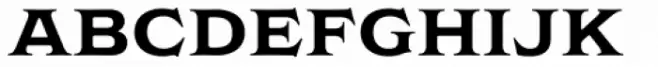 Griffon Bold