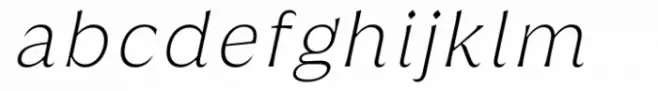 Griggs Thin Flare Gr Slnt