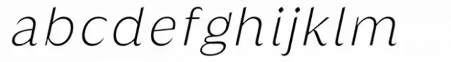 Griggs Thin Sans Gr Slnt