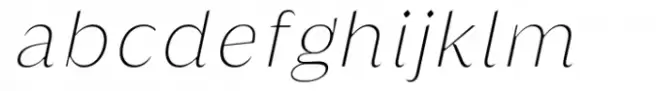 Griggs Thin Sans Slnt