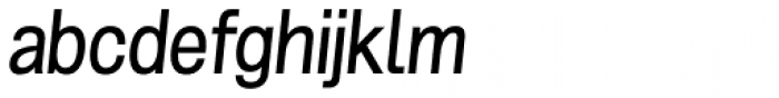 Grillmaster Regular Italic