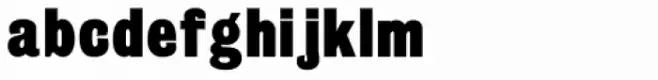 Grotesque Bold