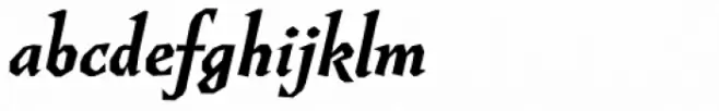 Guenter Bold Italic