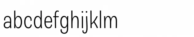 Guzzo Condensed Light