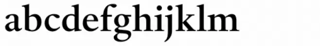 Haarlemmer MT Medium