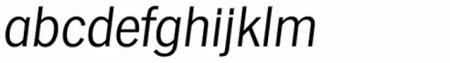 Hamburg Serial Light Italic
