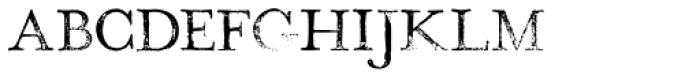 Hand Stamp Play Rough Serif
