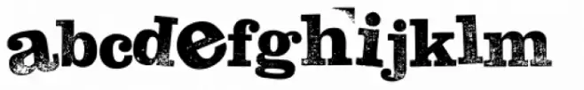 Hand Stamp Slab Serif Rough Mix