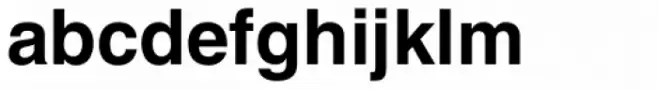 Helvetica Bold