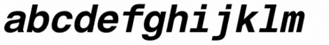 Helvetica Monospaced Std Bold Italic