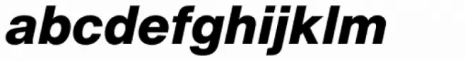 Helvetica Now Text ExtraBold Italic