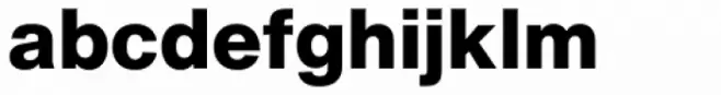 Helvetica Now Text ExtraBold