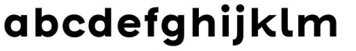 Henderson Sans Basic Bold