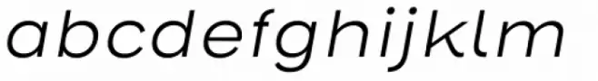 Henderson Sans Basic Light Italic