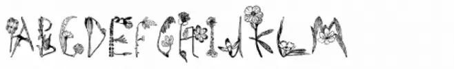 Herbarium