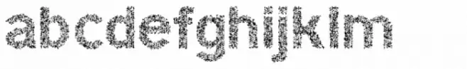 Hexial Bold Crazy