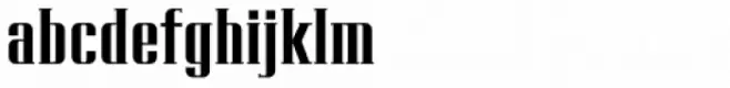 Hologram Display Serif