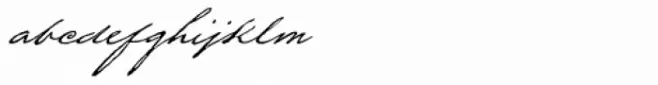 Houston Pen