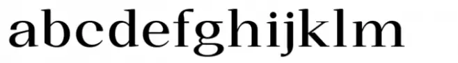 Hucks Serif Book