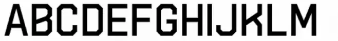 Hudson NY Pro Light