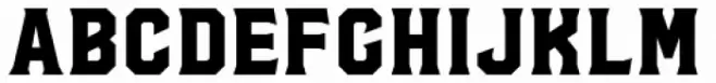 Hudson NY Pro Serif Bold