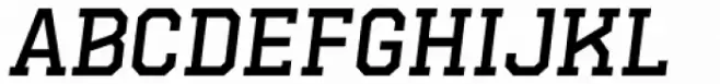 Hudson NY Pro Slab Light Italic