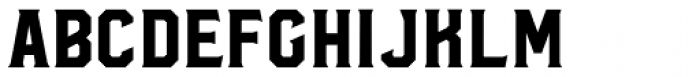 Hudson NY Serif