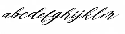 Human Diary Regular