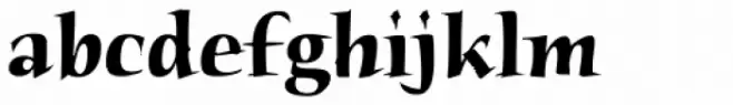 Humana Std Bold