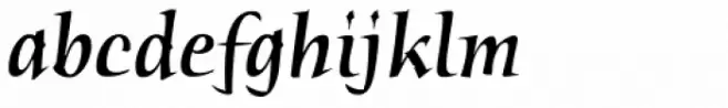 Humana Std Medium Italic