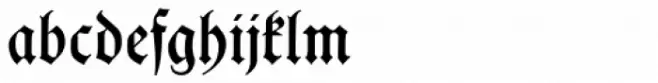 Hupp Fraktur