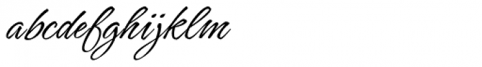 Hurricane Script