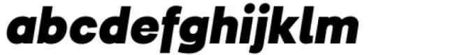 Inerta Black Italic