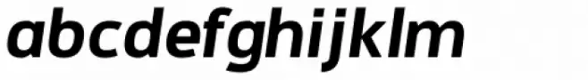 Informatic Bold Italic