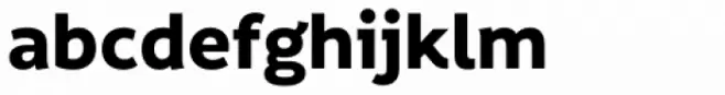 Informative Bold