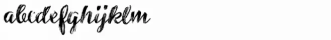 Inkheart Brush Dry