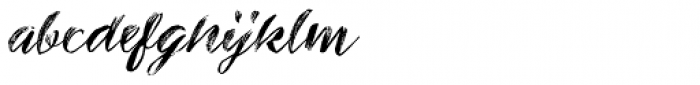 Inkheart Wide Brush Dry