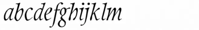 Integrity JY 2 Medium Italic