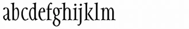 Integrity JY Lining Bold