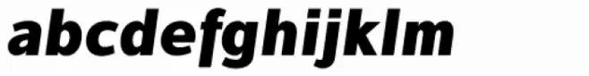Interval Sans Pro Black Italic