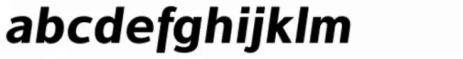 Interval Sans Pro Bold Italic