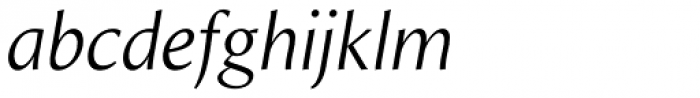 Intrinseca Book Italic