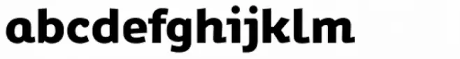 Ipsum Semi 800