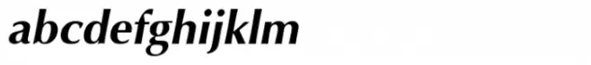 IrisUPC Bold Italic