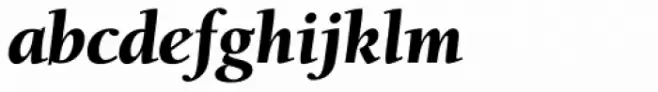 ITC Berkeley Old Style Std Black Italic